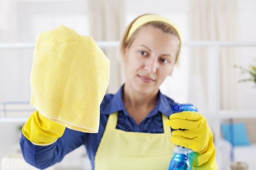 Technician treating pet stain odour in a W8 carpeted room