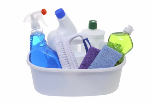 Carpet cleaning equipment set up in a W8 home