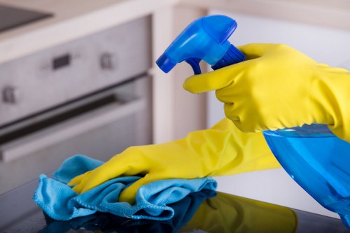 Domestic cleaner working in a Kensington home in W8