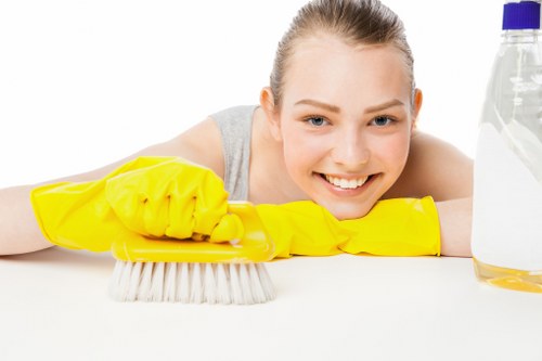 Keyboard navigation support on Carpet Cleaners W8 website