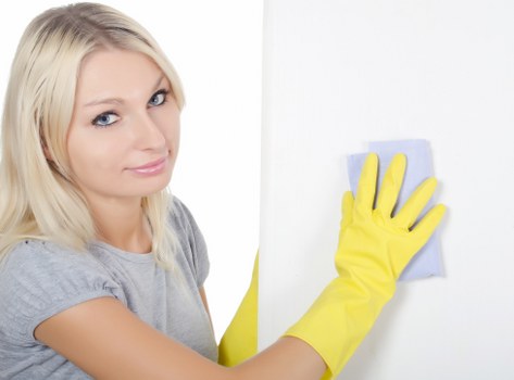Preparing a room for pet stain and odour removal in W8