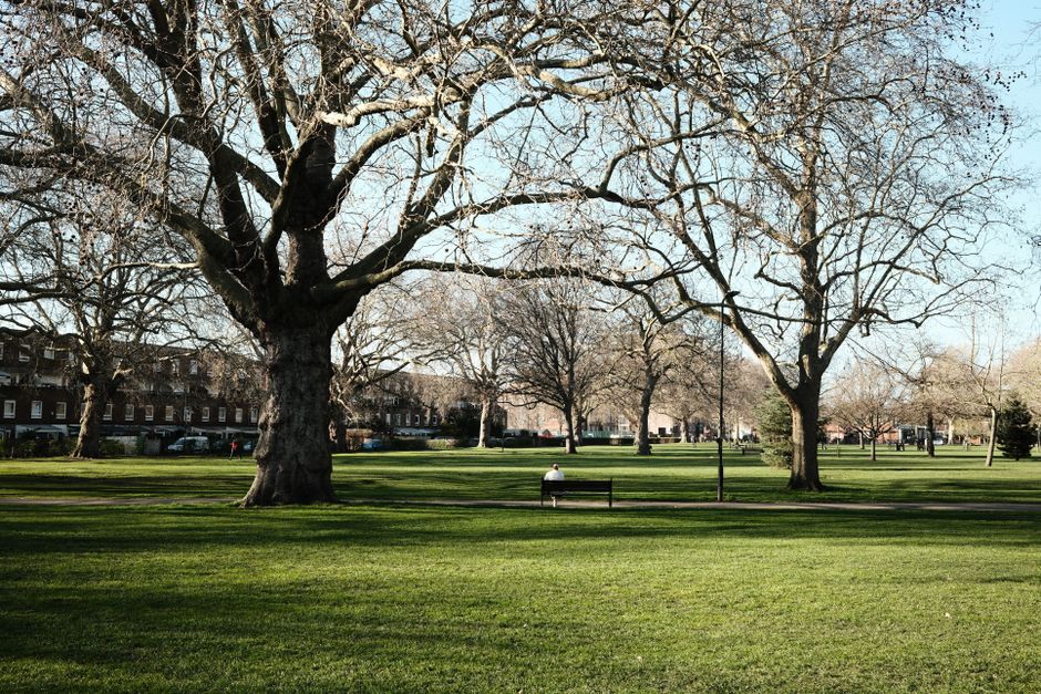 A spacious park with well-maintained green grass and several large, leafless trees distributing their branches across the scene. In the background, residential buildings with multiple windows line the perimeter of the park, and a single person is seated on a bench beneath the trees. The sky is clear with ample daylight, highlighting the cleanliness and natural beauty of the outdoor area, which correlates with surface cleaning and maintenance concepts as part of deep cleaning and hygiene practices that Carpet Cleaners W8 offers for residential and commercial spaces in Holland Park.
