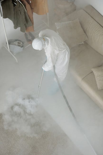 W8 sofa cleaning urgent stain removal tips for residents